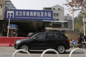 Virus Wuhan: Tikus dan anak serigala hidup pada menu di pasar makanan China terkait dengan wabah virus